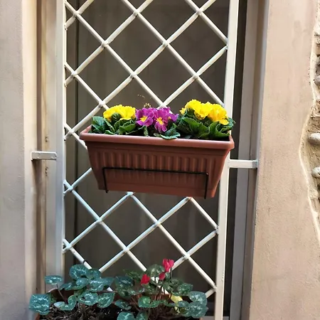 Il Cielo In Volta Apartment *